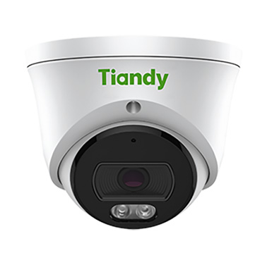 TC-C34XS Spec:I3W/E/Y/2.8mm/V4.2 уличная купольная всепогодная IP-камера видеонаблюдения с встроенным микрофоном Tiandy