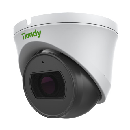 TC-C32XN Spec:I3/E/Y/2.8mm/V4.1 уличная купольная IP-камера видеонаблюдения с встроенным микрофоном Tiandy