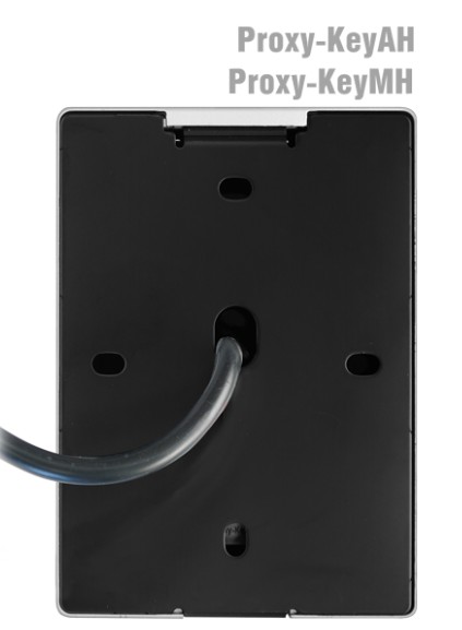 Proxy-KeyAH кодовая панель со встроенным считывателем Болид