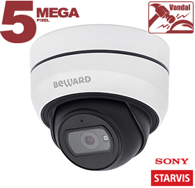 SV3210DB (3,6 мм) уличная купольная IP-камера видеонаблюдения со встроенным микрофоном Beward