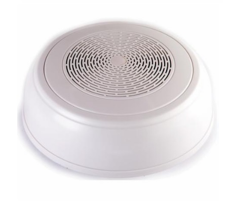 WP-10T громкоговоритель настенный