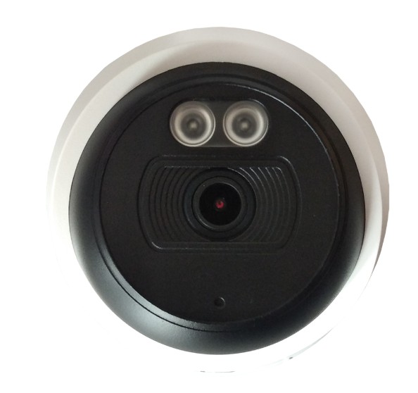 ST-SK2500 TOWN 2Мп (2.8мм) купольная внутренняя IP-камера видеонаблюдения с встроенным микрофоном Space Technology