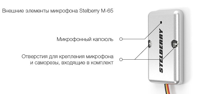 Stelberry_M65-1