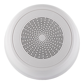 WP-10T громкоговоритель настенный