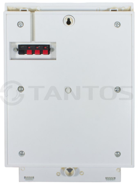 TSo-SW10b громкоговоритель настенный Tantos