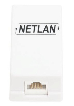 EC-UCB-55-UD2-WT-10 кабельный соединитель NETLAN RJ45-RJ45 (8P8C), кат.5e, (проходная розетка)