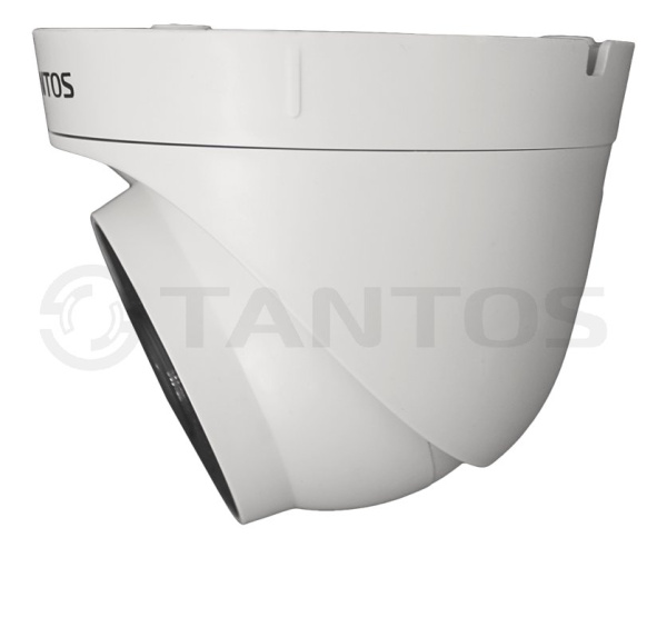 TSi-Eeco25FP внутренняя камера видеонаблюдения Tantos