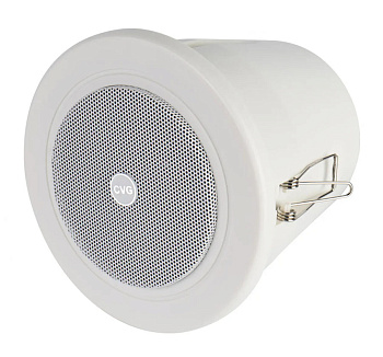 CVGaudio CRW4T оповещатель влагозащищенный широкополосный