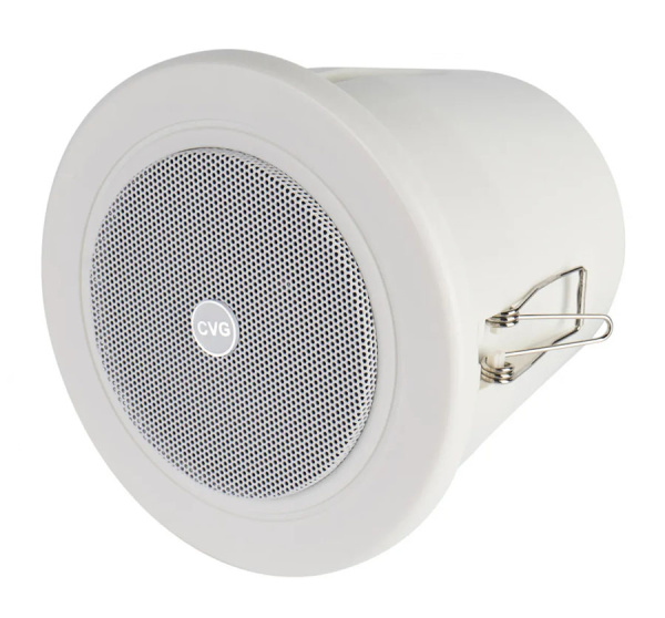 CVGaudio CRW4T оповещатель влагозащищенный широкополосный
