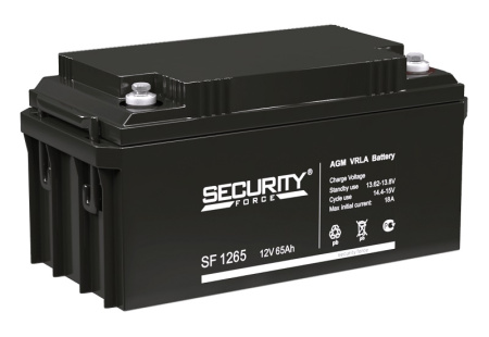 Аккумулятор SF 1265 Security Force
