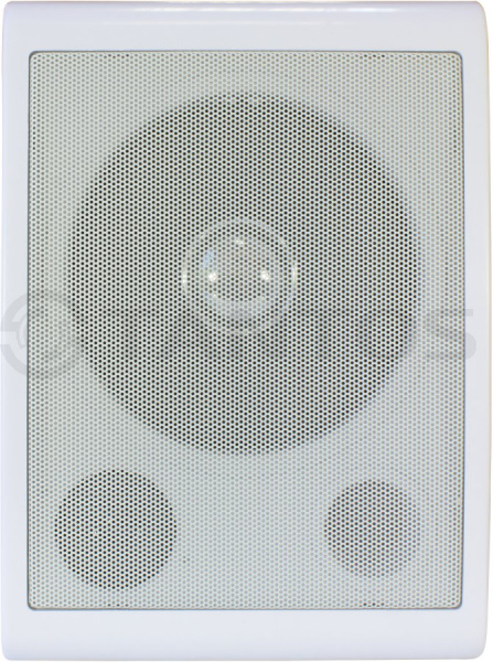 TSo-SW6a громкоговоритель настенный Tantos