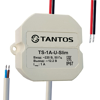 TS-1A-U-Slim источник вторичного электропитания Tantos