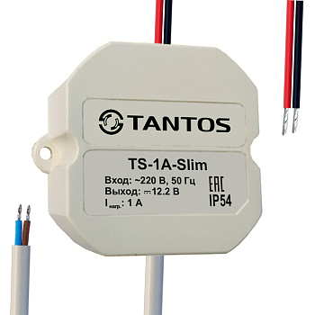 TS-1A-Slim источник вторичного электропитанияTantos