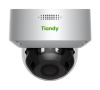 TC-C35MS Spec:I3/A/E/Y/M/C/H/2.7-13.5mm/V4.0 уличная купольная всепогодная IP-камера видеонаблюдения с встроенным микрофоном Tiandy