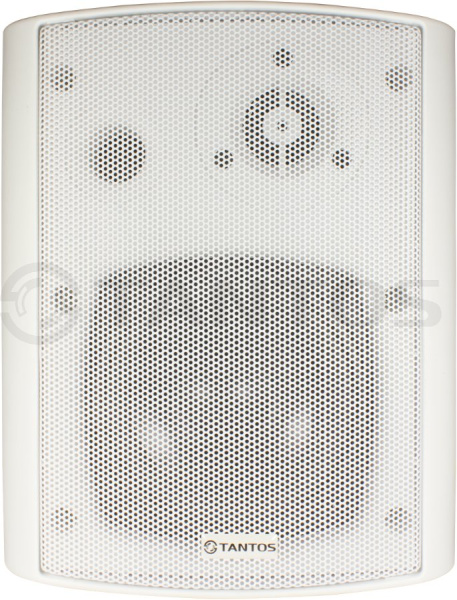TSo-SW30k громкоговоритель настенный на кронштейне Tantos