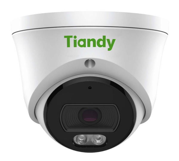 TC-C320N Spec:I3/E/Y/2.8 mm уличная купольная всепогодная IP-камера видеонаблюдения с встроенным микрофоном Tiandy