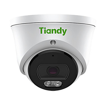 TC-C34XS Spec:I3W/E/Y/2.8mm/V4.2 уличная купольная всепогодная IP-камера видеонаблюдения с встроенным микрофоном Tiandy