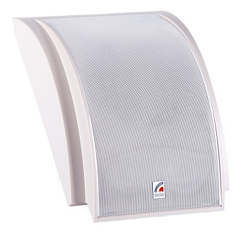 SWS-10 (ROXTON) громкоговоритель настенный