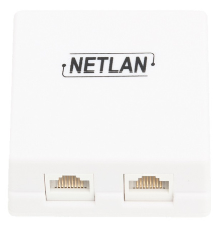EC-UWO-2-UD2-WT-10 настенная розетка NETLAN