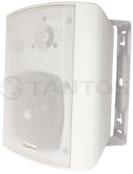 TSo-SW30k громкоговоритель настенный на кронштейне Tantos
