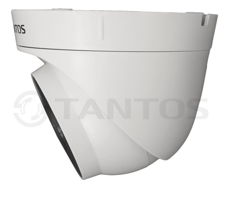 TSi-Eeco25FP купольная внутренняя IP-камера видеонаблюдения Tantos